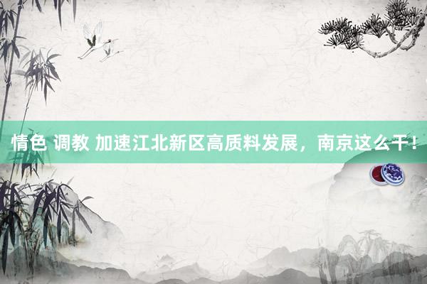 情色 调教 加速江北新区高质料发展，南京这么干！