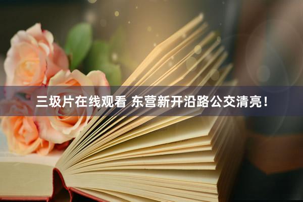 三圾片在线观看 东营新开沿路公交清亮！