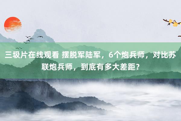 三圾片在线观看 摆脱军陆军，6个炮兵师，对比苏联炮兵师，到底有多大差距？