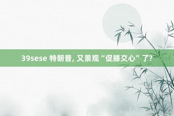 39sese 特朗普, 又景观“促膝交心”了?